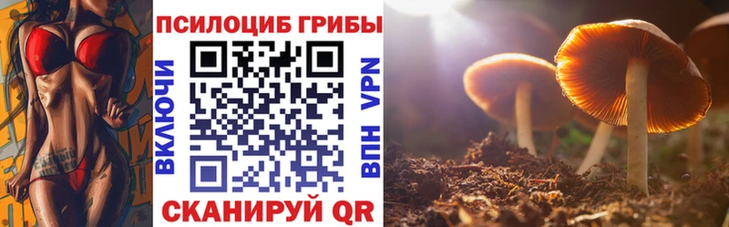 Галлюциногенные грибы Psilocybe  Тимашёвск 